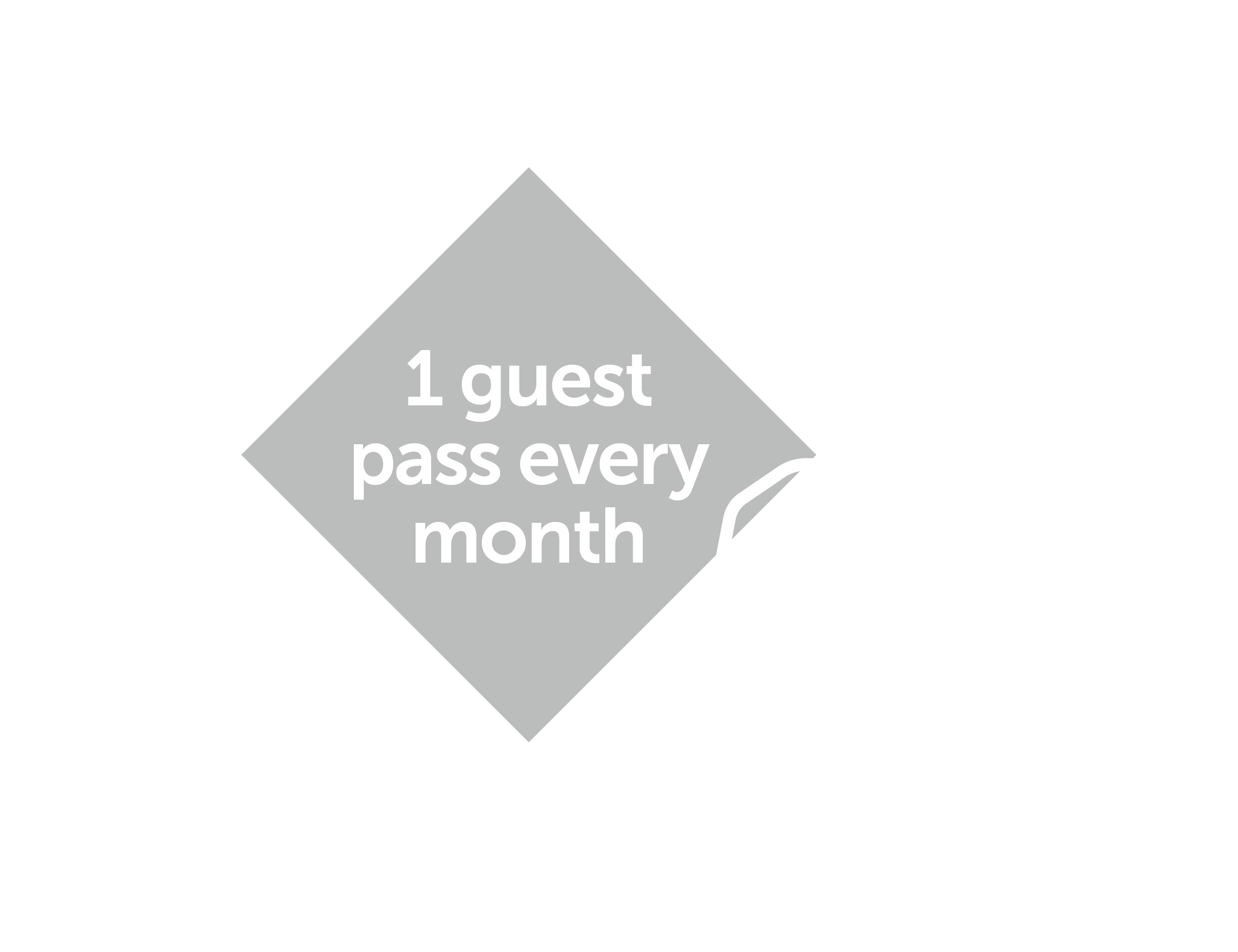 guest